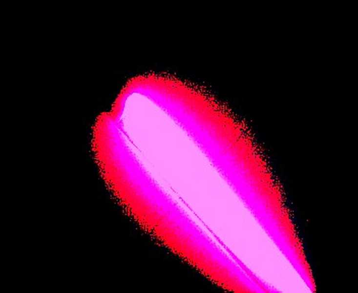 bit_like_seaworld